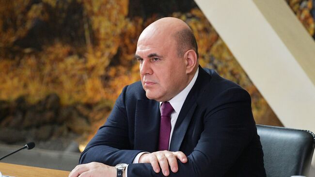Председатель правительства РФ Михаил Мишустин проводит встречу с представителями туристического бизнеса по вопросу развития туризма в Республике Алтай