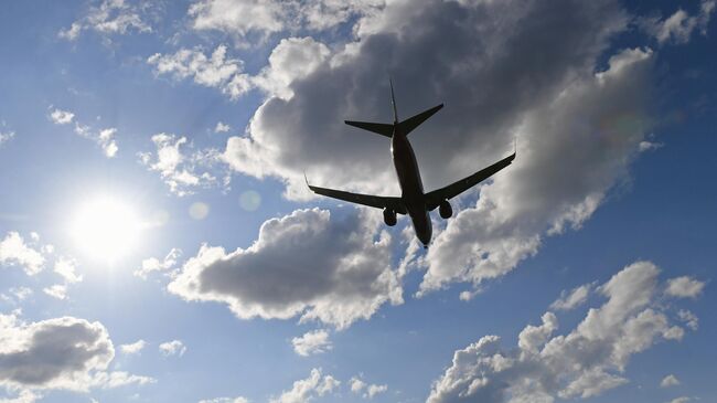 Пассажирский самолет Boeing 737-800 совершает посадку в международном аэропорту им. Дмитрия Хворостовского в Красноярске