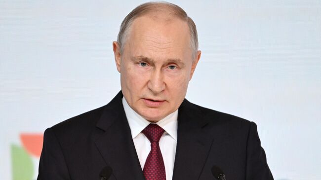 Президент РФ Владимир Путин. Архивное фото