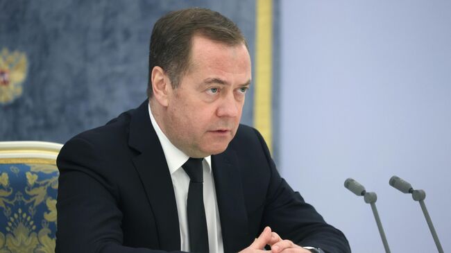 Заместитель председателя Совета безопасности РФ, председатель партии Единая Россия Дмитрий Медведев проводит заседание президиума Совета при президенте РФ по науке и образованию